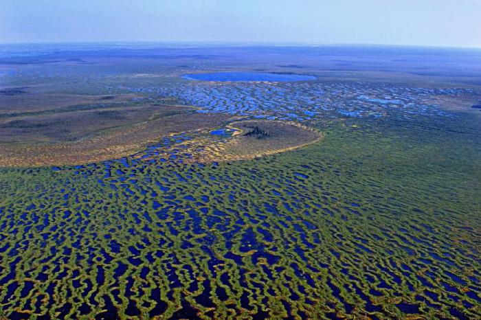 Крупнейшее болото в мире